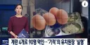 계란 4개로 유치원생 90명 먹이면 생기는 일.jpg