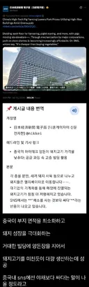 중국 돼지 공장 ㄷㄷㄷ .jpg