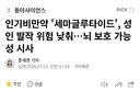 진짜 무안단물인 위고비 근황