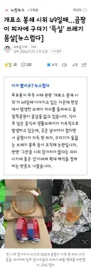 개표소 봉쇄 시위 49일째…곰팡이 피자에 구더기 '득실' 쓰레기 몸살