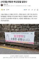 [시간들] 캣맘은 왜 공감을 잃었나
