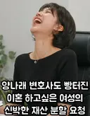 변호사도 빵터진 이혼하고 싶은 여성의 신박한 재산 분할 요청