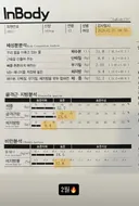 배우 이시영 인바디 변화