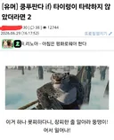 쿵푸팬더) 만약 타이렁이 타락하지 않았더라면.jpg