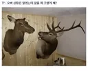 “ㅆ발년아 그러게 내가 그냥 집에 있자 했냐 안했냐!”