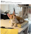 인생은 마음대로 되지 않는 법이다옹