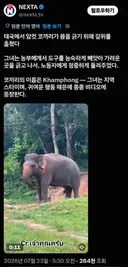 인간이 만들어준 도구를 쓸줄 아는 동물