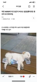 어떤 4050이 되고싶은지 써보는 달글