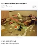 아 ㅈㄴ 개 두마리키우는데 지금 퇴근하고 오니까 내방 ㅡㅡ