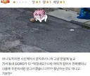 배달 햄버거가 밖에 오래 있으면 생기는 일.jpg
