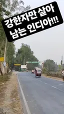 강한 자만 살아남는 인도 feat. 버스