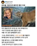 취미로 맹수를 물리친 여성.jpg