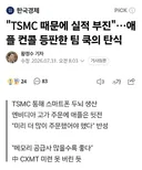 애플:TSMC(삼전 하이닉스)때문에 실적 부진