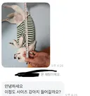 당근에 계집 올려놨는데 문의 옴