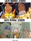 내가 원하던 고양이 vs 키우는 고양이