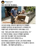 30년 만에 발견한 반려거북
