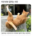 의견 반반 갈리는 사진