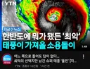 태풍 돌핀 근황