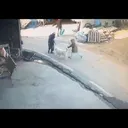약혐 ) 대형견 개물림 사고