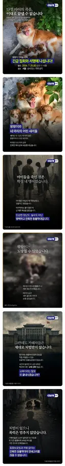 중국에서 일어난 동물학대를 한국에서 시위