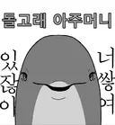 태풍 돌핀쟝이 힘을 못쓰고 튀고 있다니