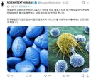 비아그라 근황