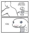 애완동물들이 인간을 이해할 수 없는 부분