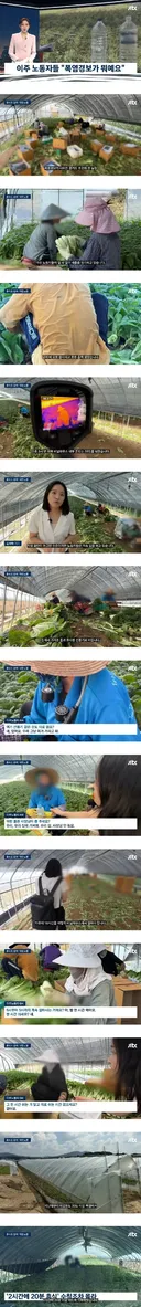 이 폭염에 이주노동자들 휴식 시간 없이 일 시키는