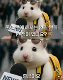 ??? : 돈때문에 해서는 안되는 일을 한적 있나요.jpg