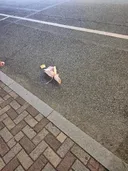 사연 많아보이는 꽃다발