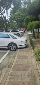 주차 개 젖같이 하네 증말