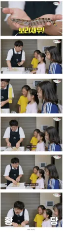 "우리 딸! 아빠가 한 마리 8천원하는 보리새우 사왔어!"