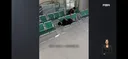 역시 구해주러 왔구나! 아니 나도 끼였어