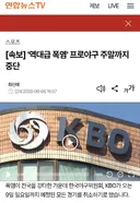 프로야구 주말 시리즈 전체 취소