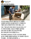 30년 만에 발견한 반려거북