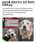 강아지를 실망시키고 싶지 않았던 우체부