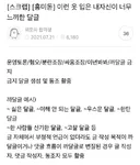 이런 옷 입은 내자신이 너무 느끼한 달글