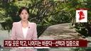 우리나라에 엄청나게 많은 소나무숲 근황