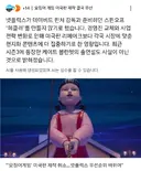 미국판... 오징어게임...제작...취소....