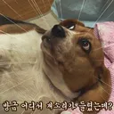 13호 태풍 돌핀 덕분에 +_+;;;