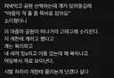 차라리 개한테 물리는게 낫겠다 싶다