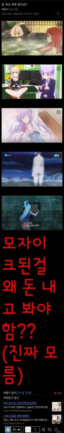 애니메이션 불법 스트리밍 사이트 막혀서 열받은 디시인.jpg