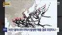 3년째 태풍 안온 한반도