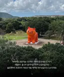 제주도에 나타난 거대 고냉이