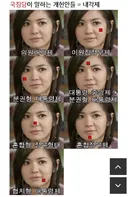 개헌) 과거 국힘이 주장했던 각종 개헌안들