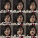 분권형 대통령제 한짤 요약