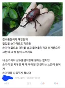 유게에 본인 얘기 하면 안되는 이유...