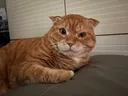 오늘 뜬 김냄비 스트릿 시절 미담 .twt