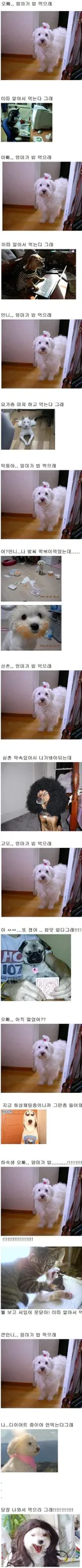 오빠 엄마가 밥 먹으래.jpg