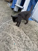 거제 현상황